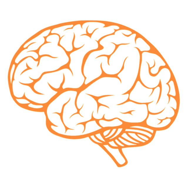 Bổ não - Ngủ ngon