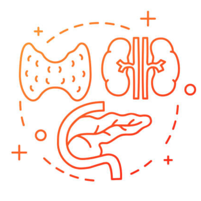 Nội tiết, tiểu đường