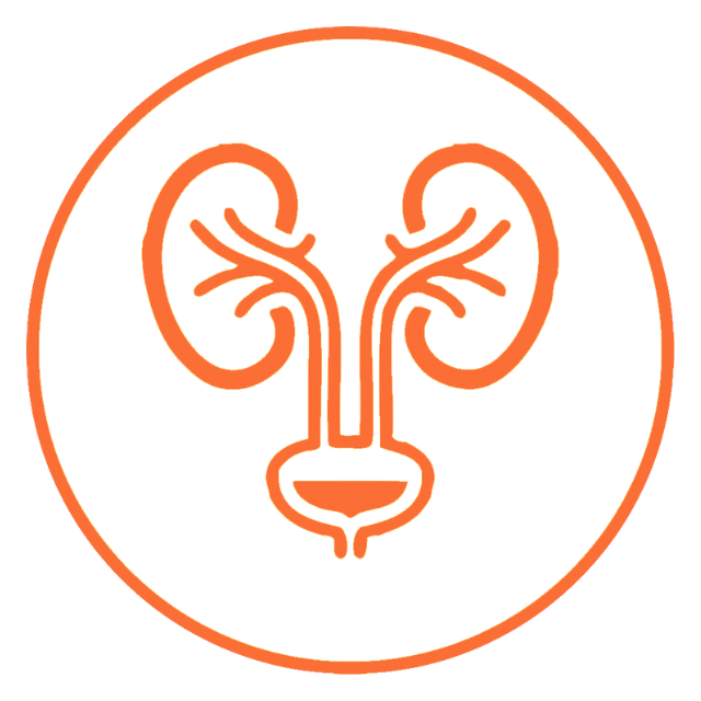 Thận- Tiết niệu